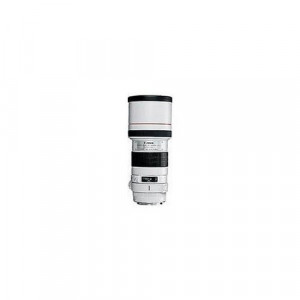 2530 A017 Canon EF 300 mm f4.0 L USM fixierte Linse mit Stativ (2530 a017)-21